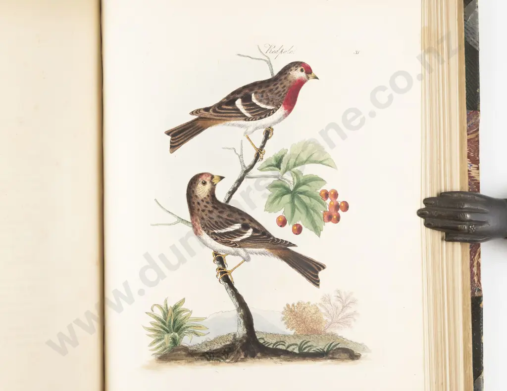 Bolton James - Harmonia Ruralis (2 Volumes in 1) Image 1++