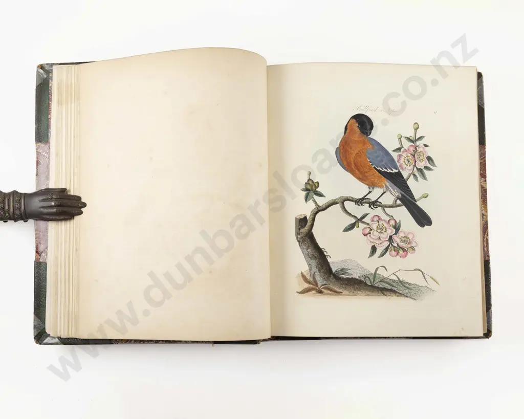 Bolton James - Harmonia Ruralis (2 Volumes in 1) Image 1++