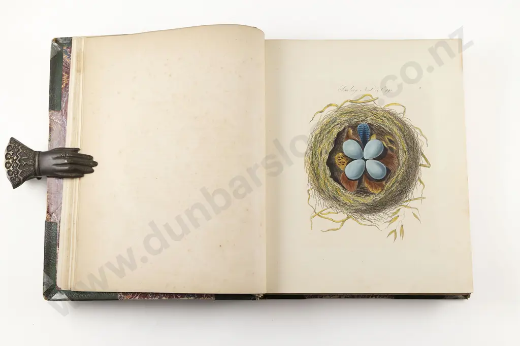 Bolton James - Harmonia Ruralis (2 Volumes in 1) Image 1++