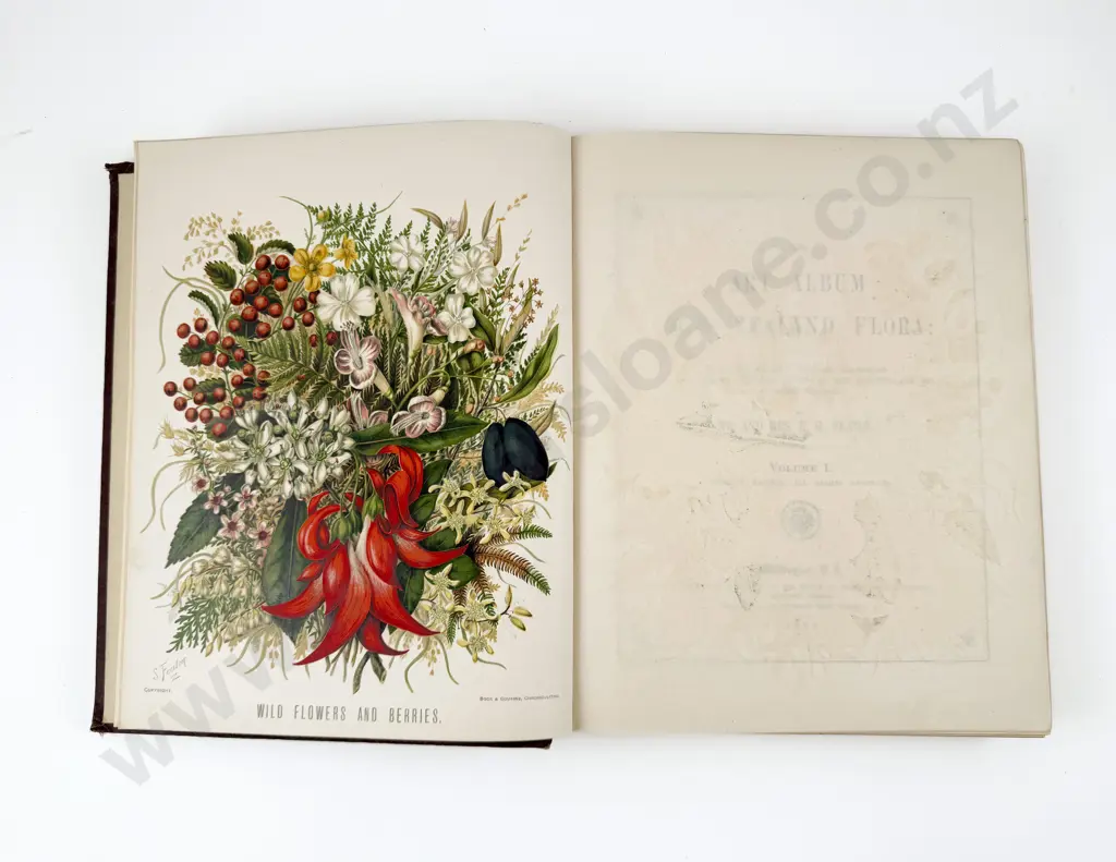 Featon Mr & Mrs E H - The Art Album of New Zealand Flora Volume I Authors Edition Image 1++