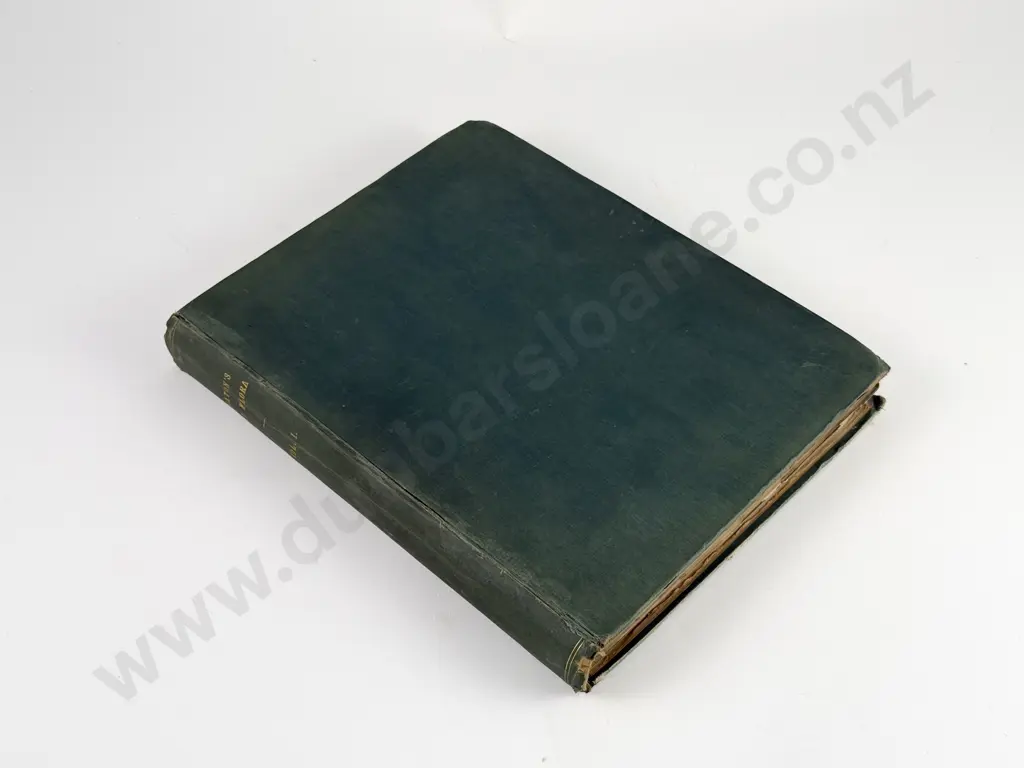 Featon Mr And Mrs E H - The Art Album of New Zealand Flora Image 1++