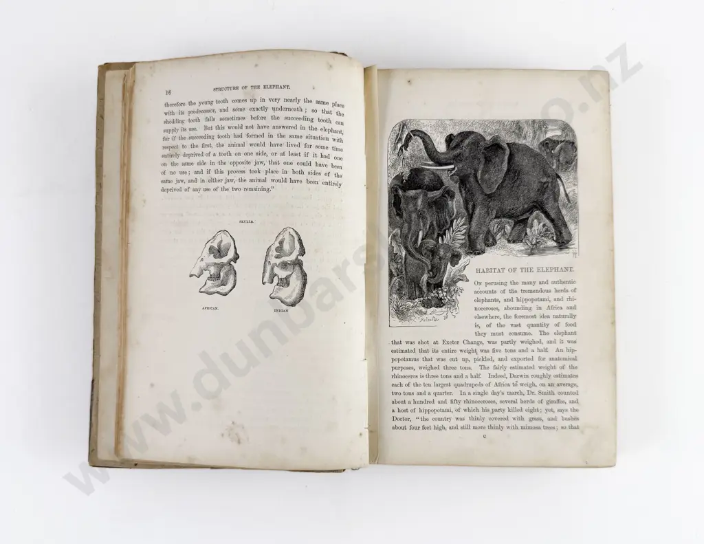 Greenwood James - Wild Sports of The World Image 1++