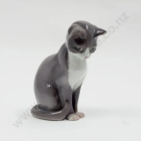 B & G Cat
