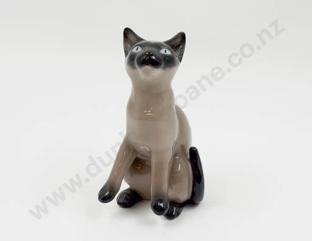 B & G Cat Image 1++