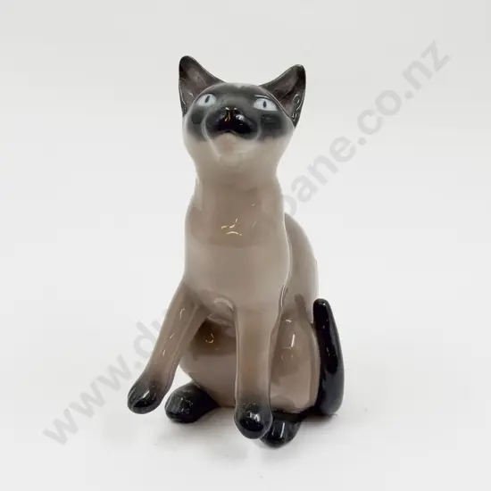 B & G Cat