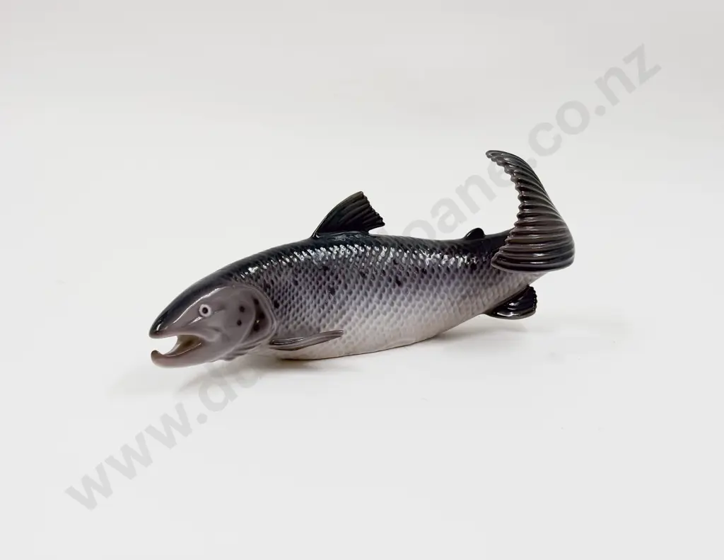B&G Fish Image 1++