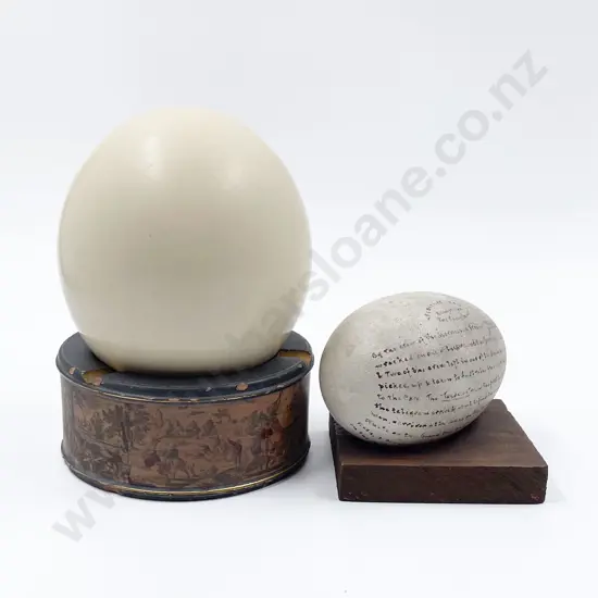 Albatross Egg