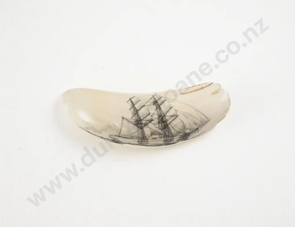 Whale Tooth with Early to Mid C20th Scrimshaw of Tall Ship Image 1++