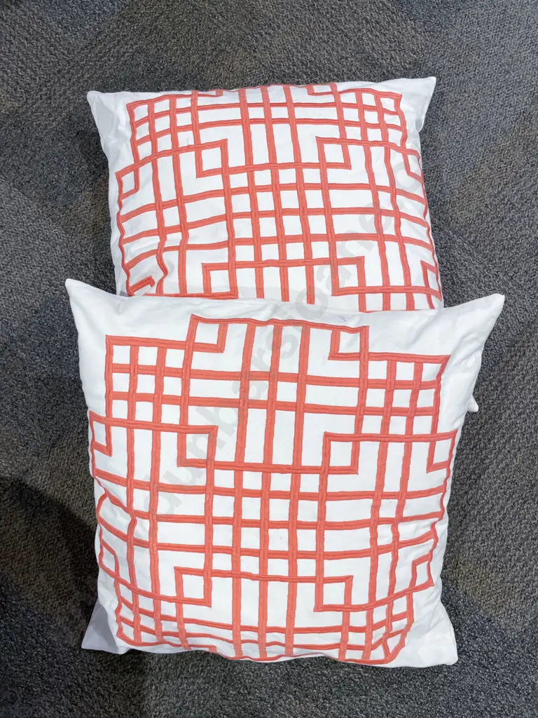 Pair of Modern Cushions Image 1++