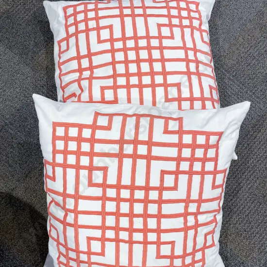Pair of Modern Cushions