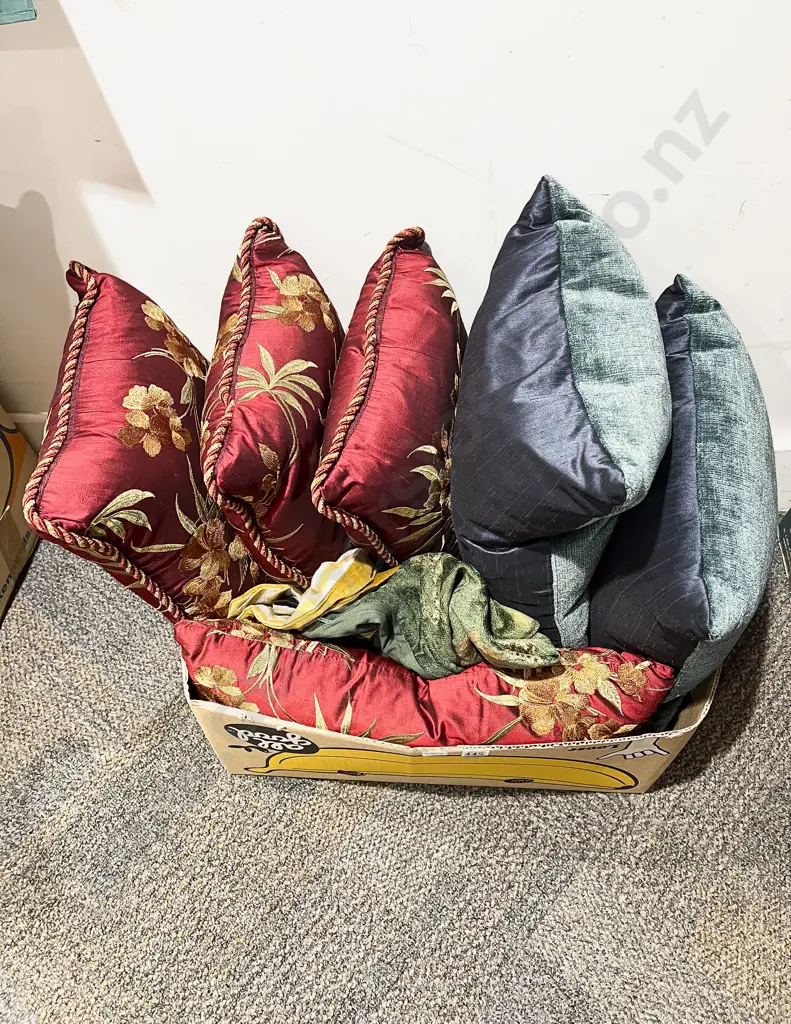 Box Qty of Assorted Cushions Image 1++
