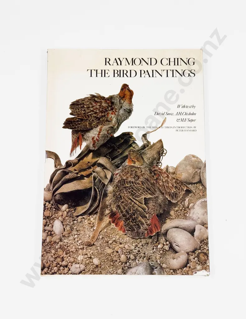 Raymond Ching - The Bird Paintings Image 1++