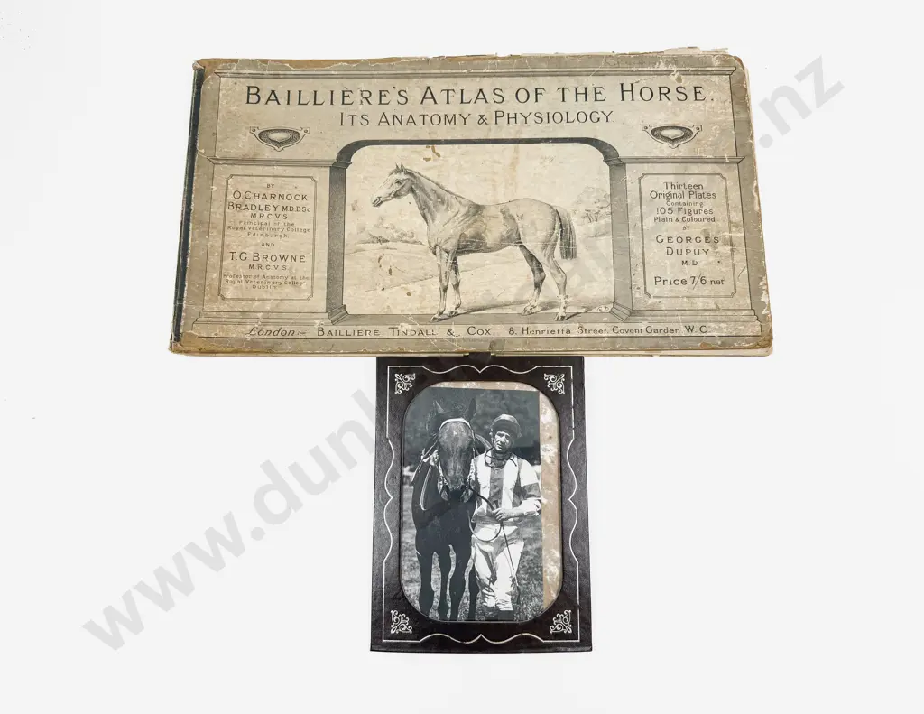 Bailliere's Atlas of The Horse Image 1++