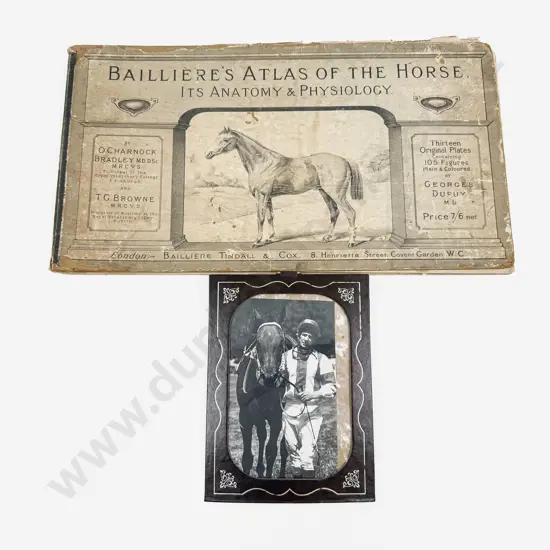 Bailliere's Atlas of The Horse