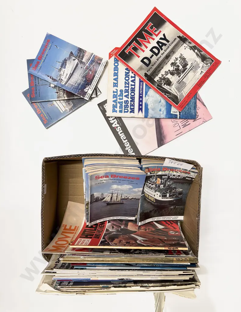 Box of Assorted Sea Breezes Annuals etc Image 1++