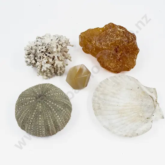 Qty of Assorted incl Coral & Kauri Gum etc