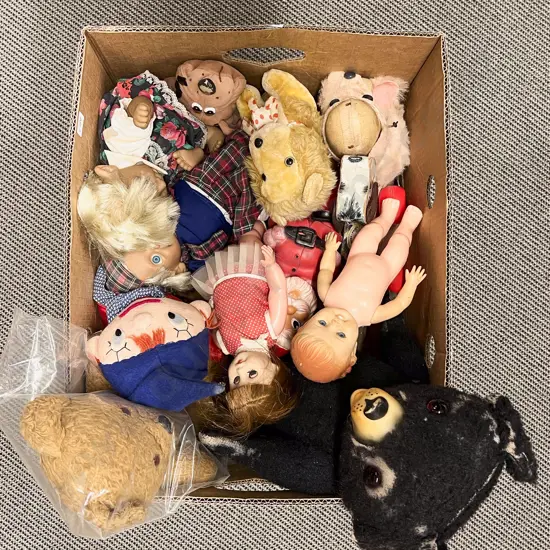Box Qty of Assorted Dolls & Teddies etc