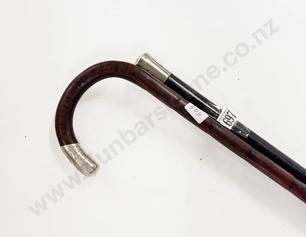 Two S/S Topped Walking Sticks Image 1++