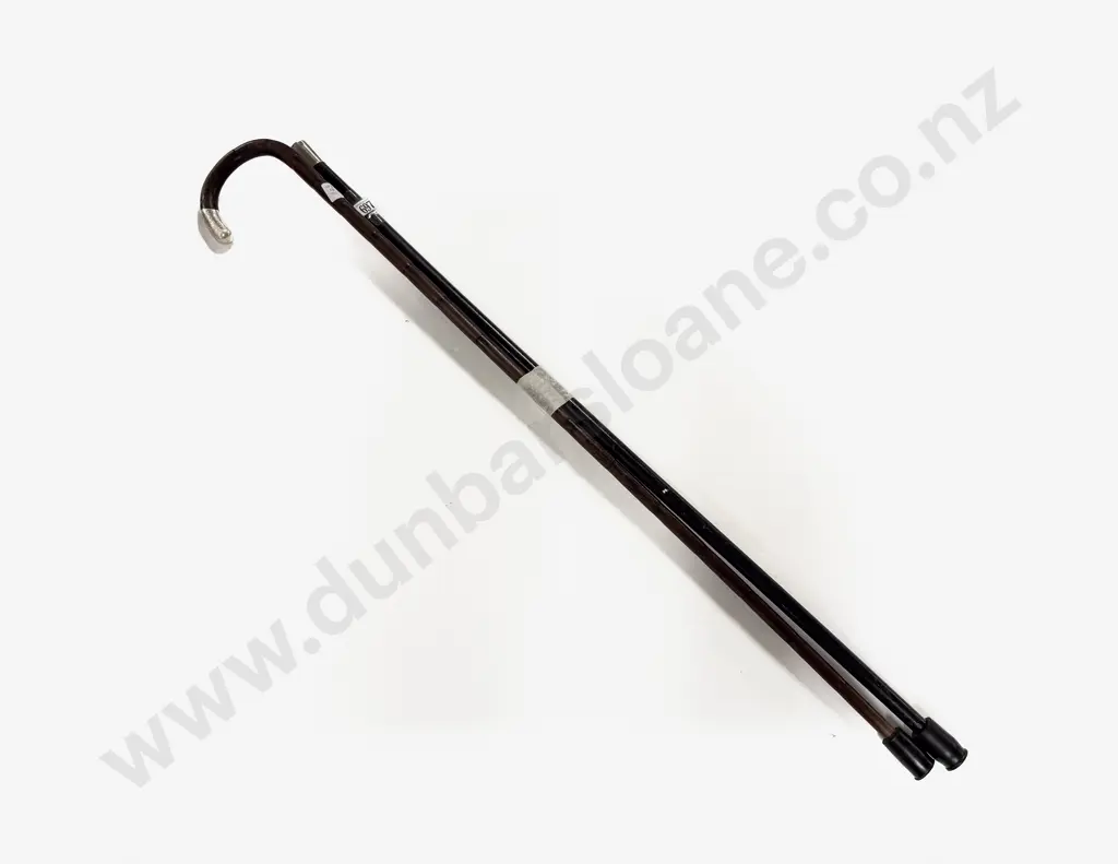 Two S/S Topped Walking Sticks Image 1++