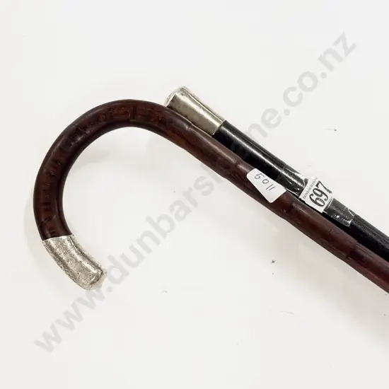 Two S/S Topped Walking Sticks