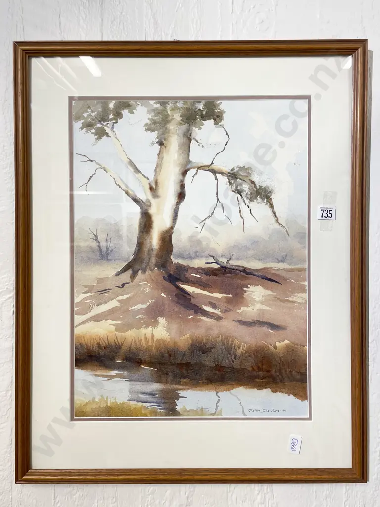 Joan Coleman - Tree Study - Watercolour Image 1++
