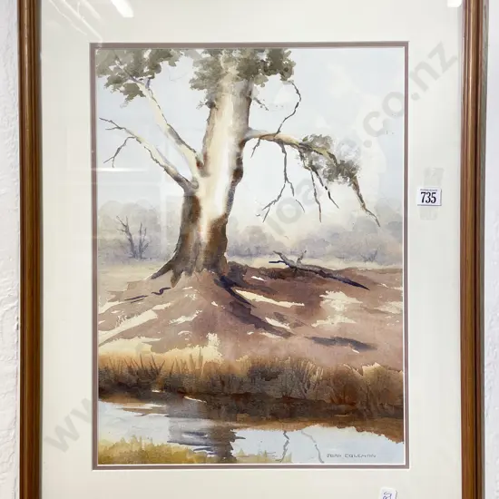 Joan Coleman - Tree Study - Watercolour