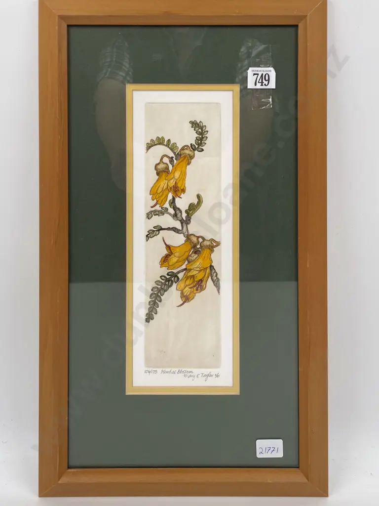 Mary E. Taylor - "Kowhai Blossom" - Ltd Edition Print Image 1++