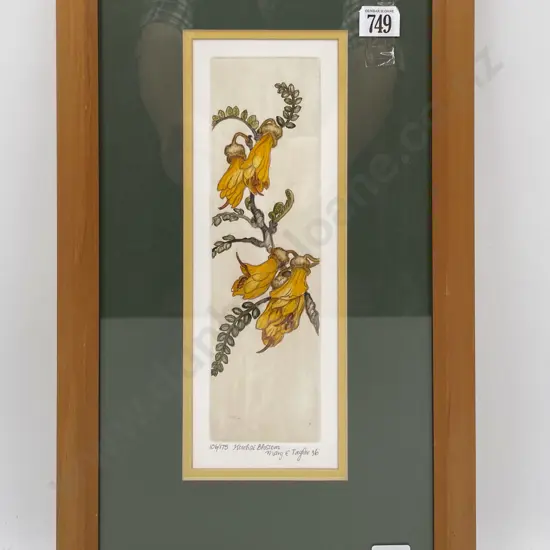 Mary E. Taylor - "Kowhai Blossom" - Ltd Edition Print