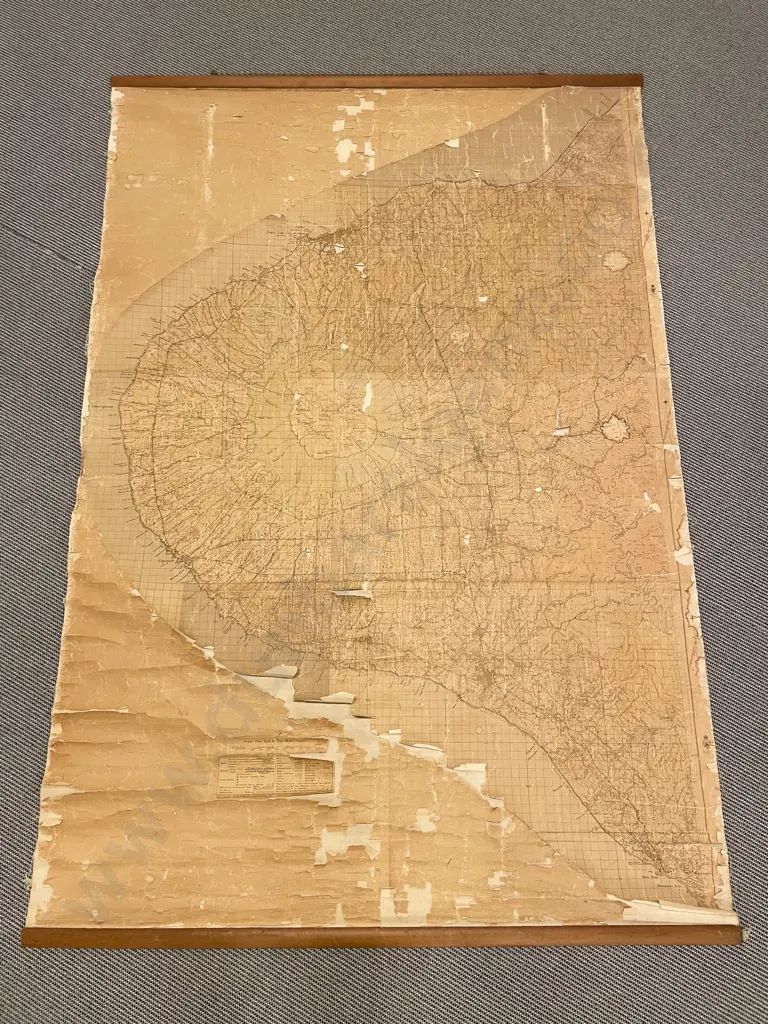 Vintage Topigraphical NZ Map on Canvas (A/F) Image 1++