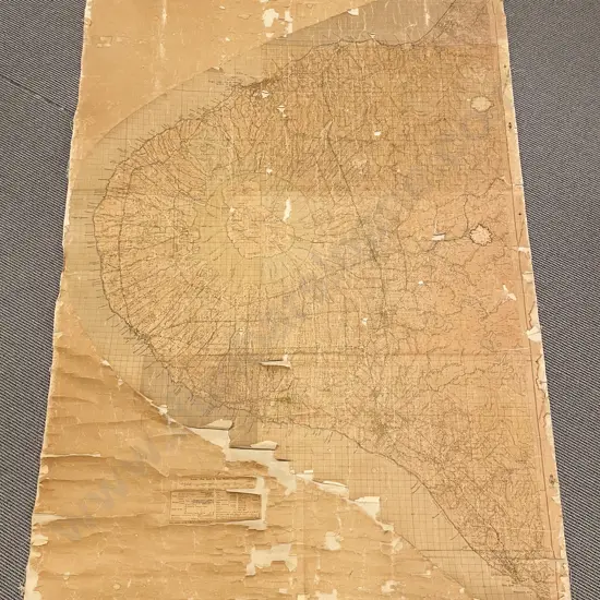 Vintage Topigraphical NZ Map on Canvas (A/F)