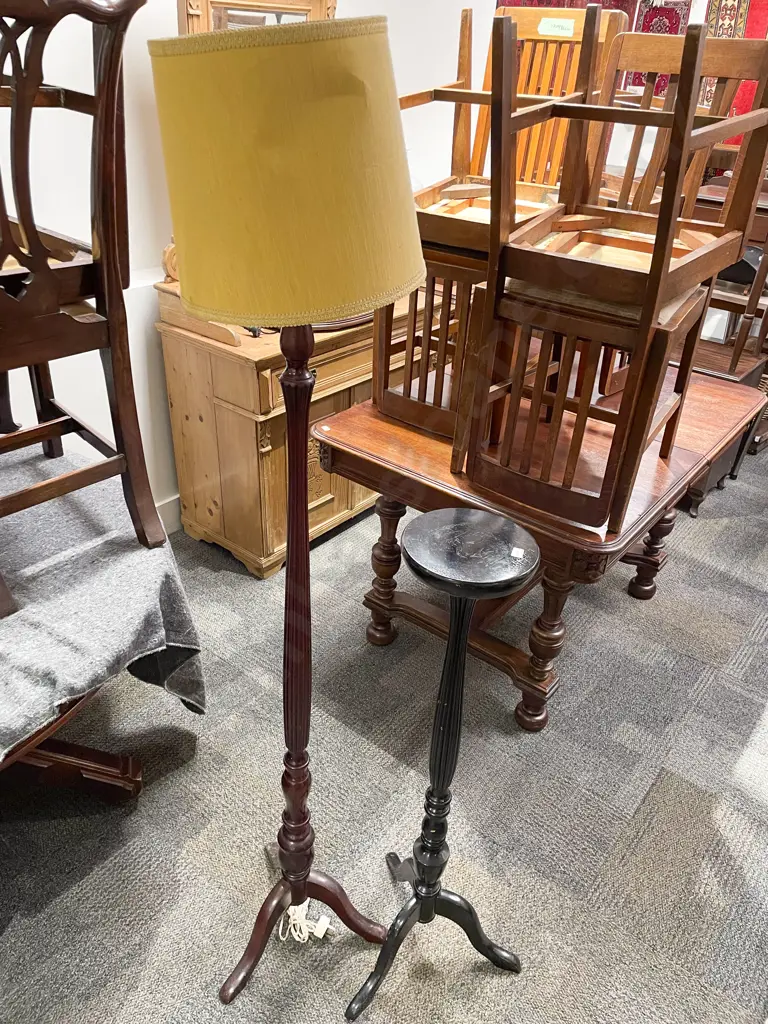 Standard Lamp together with Tripod Based Plant Stand Image 1++