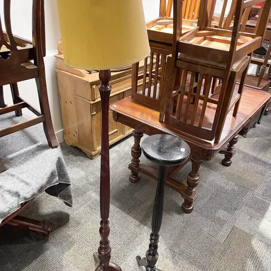 Standard Lamp together with Tripod Based Plant Stand