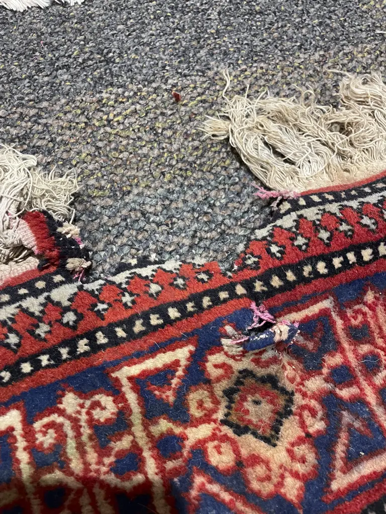 Small Persian Floor Rug Image 1++