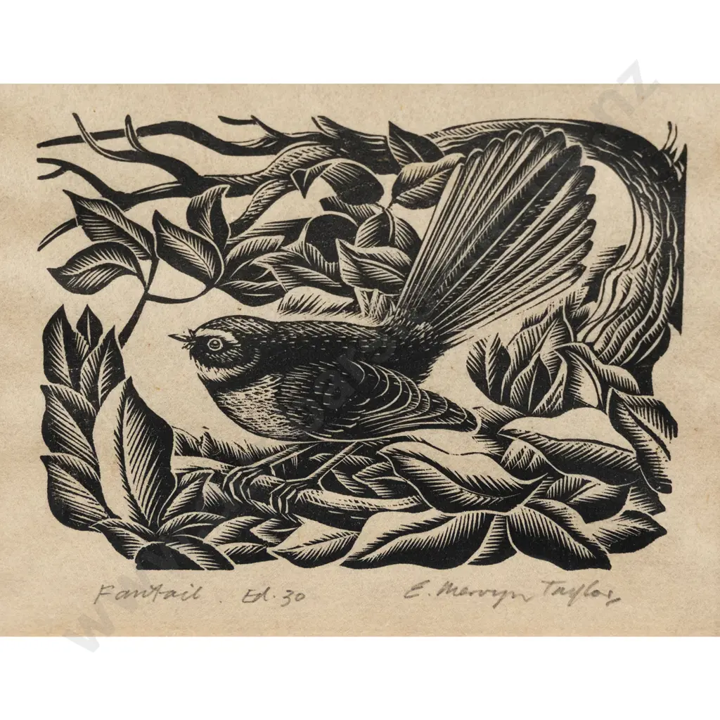 E Mervyn Taylor - Fantail Image 1++