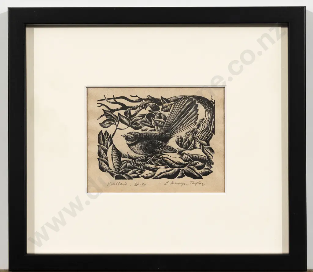 E Mervyn Taylor - Fantail Image 1++