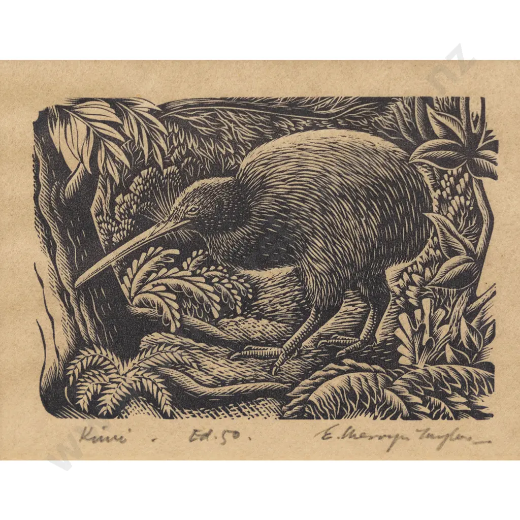 E Mervyn Taylor - Kiwi Image 1++