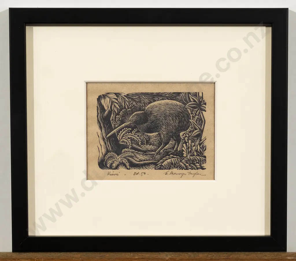 E Mervyn Taylor - Kiwi Image 1++