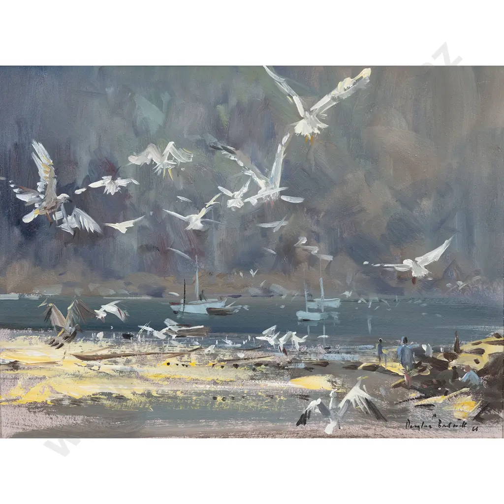 Douglas Badcock - Seagulls in Flight - Evening - Port Isaac - Cornwall Image 1++