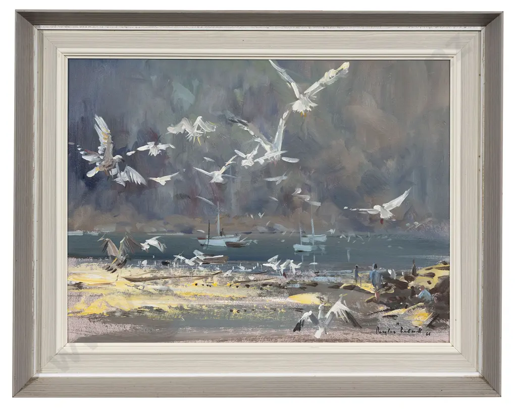 Douglas Badcock - Seagulls in Flight - Evening - Port Isaac - Cornwall Image 1++