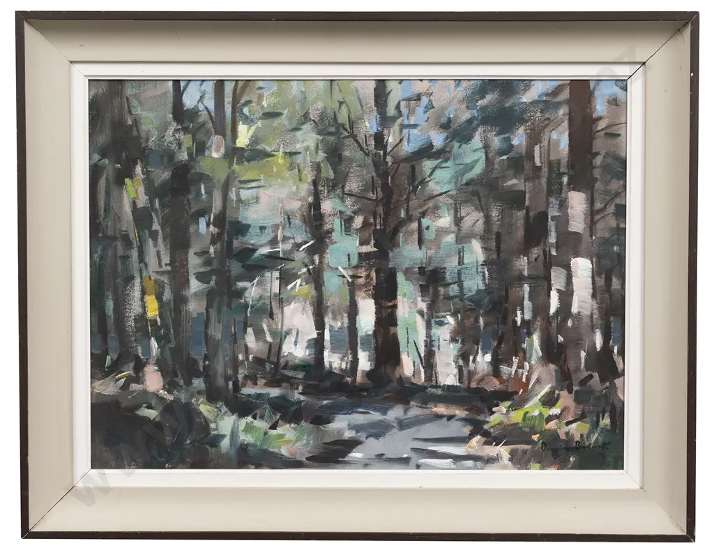 Douglas Badcock - Beech Forest - Eglinton Valley Image 1++