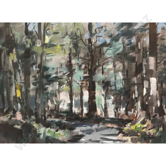 Douglas Badcock - Beech Forest - Eglinton Valley