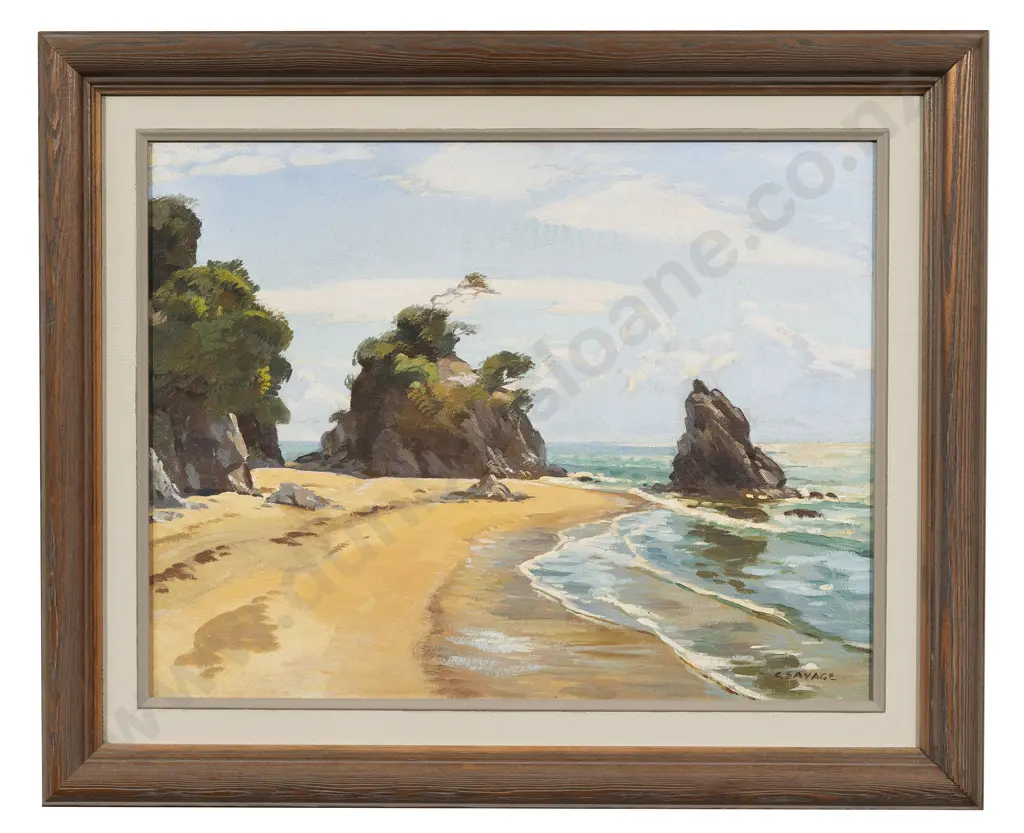 Cedric Savage - Coastal Landscape Image 1++