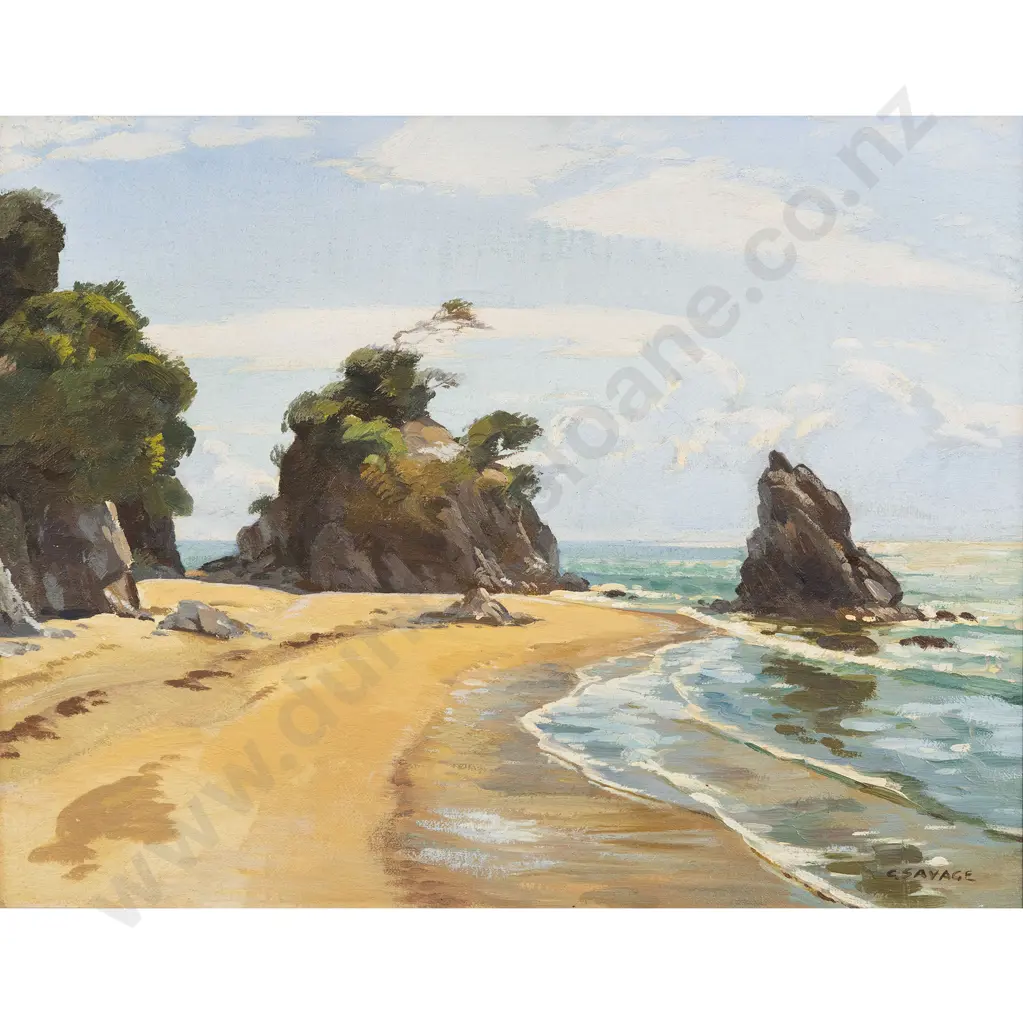 Cedric Savage - Coastal Landscape Image 1++