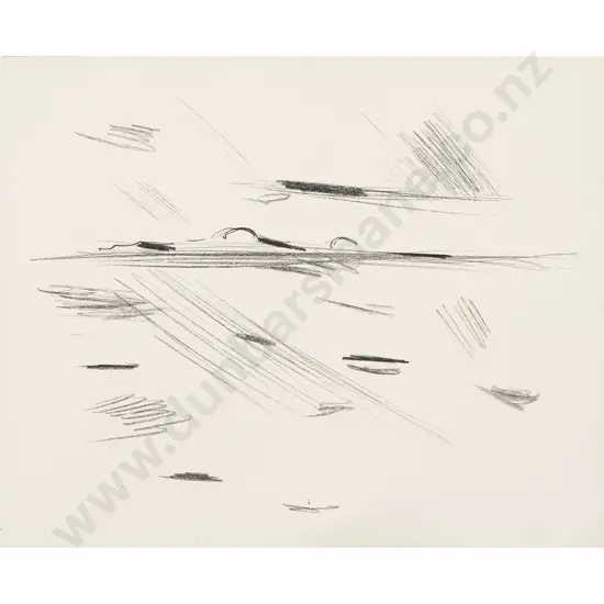 Colin McCahon - Puketutu Manukau