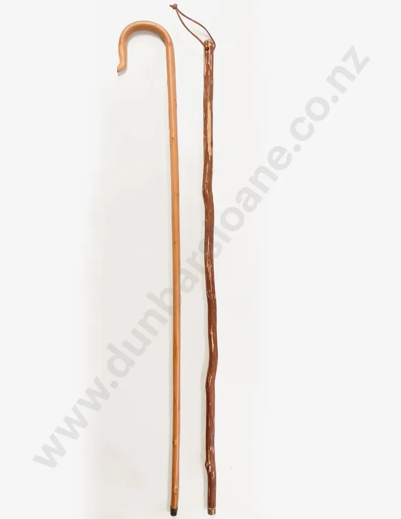 Shepherd's Walking Cane & Other Walking Stick Image 1++