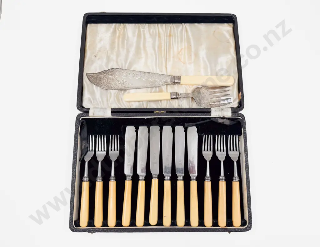 Cased Bone Handled Fish Service Image 1++