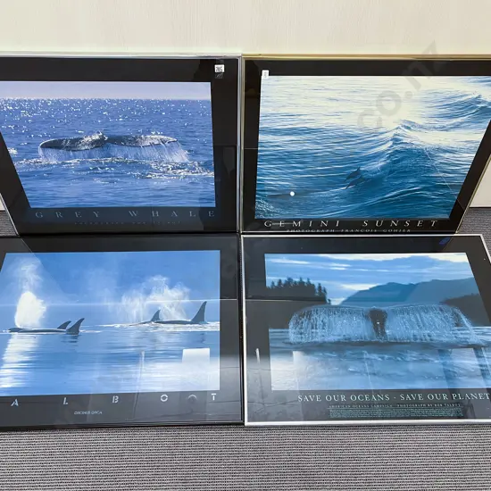 Four Assorted Whale Prints