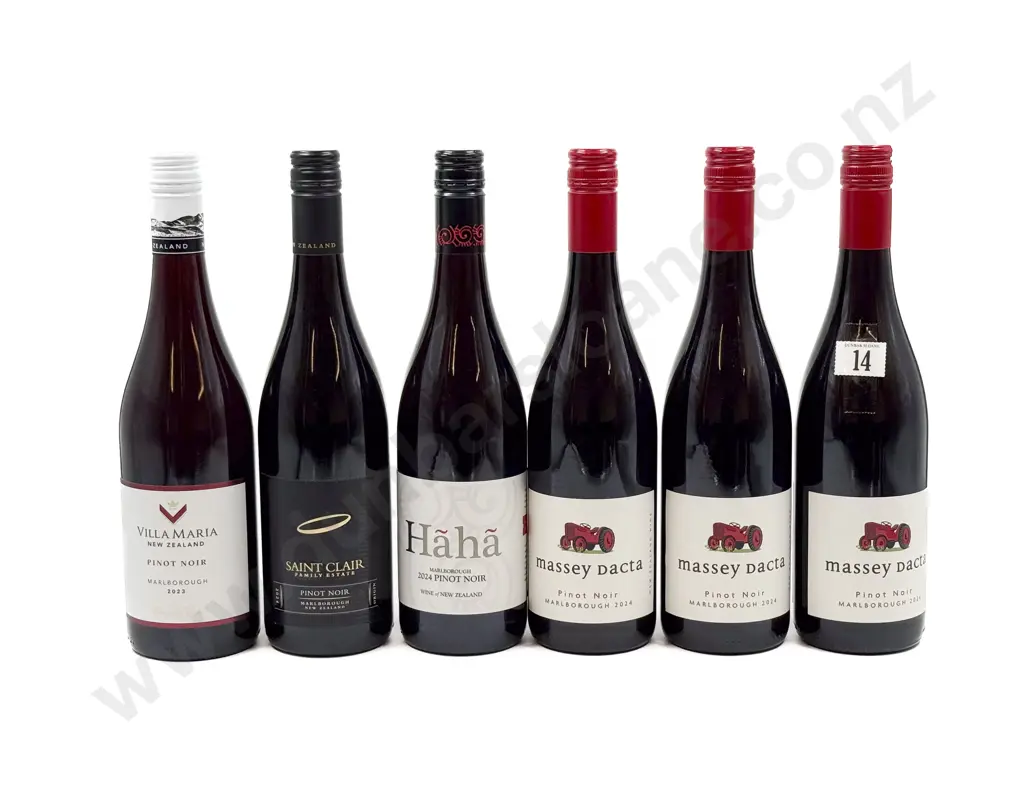 NZ Six Assorted Pinot Noir Image 1++