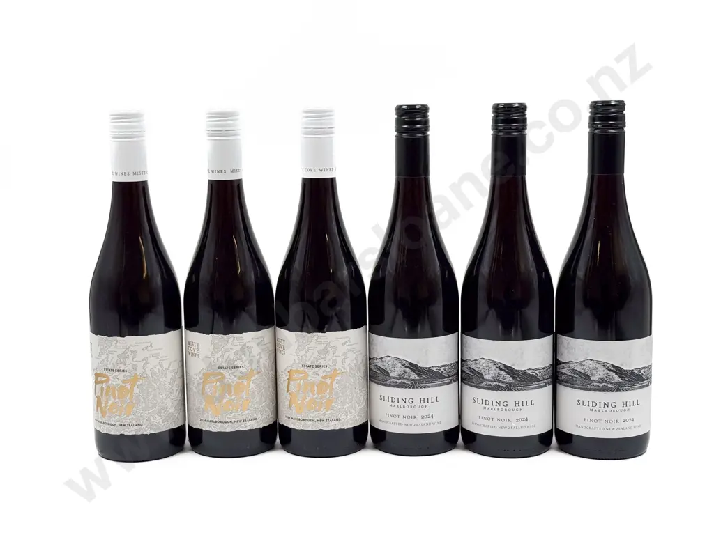 NZ Six Assorted Pinot Noir Image 1++