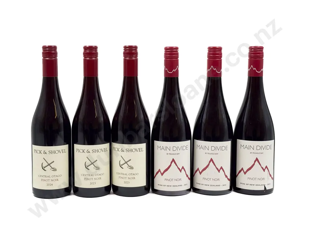 NZ Six Assorted Pinot Noir Image 1++
